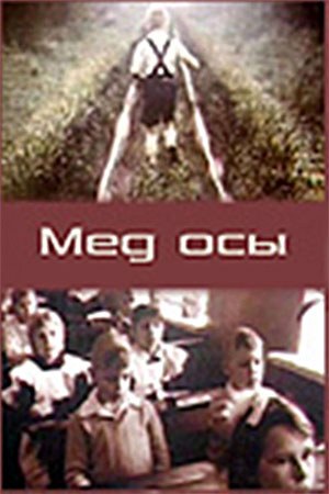 Мед оси poster
