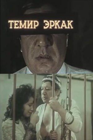 Залізний чоловік poster