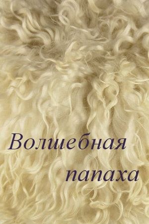 Чарівна папаха poster