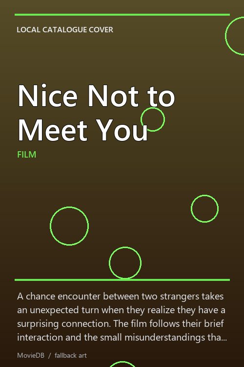 Nice Not to Meet You poster