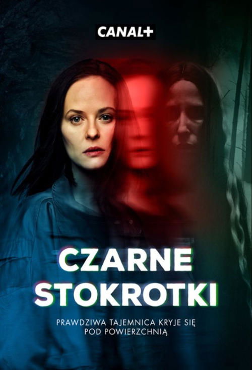 Czarne stokrotki poster