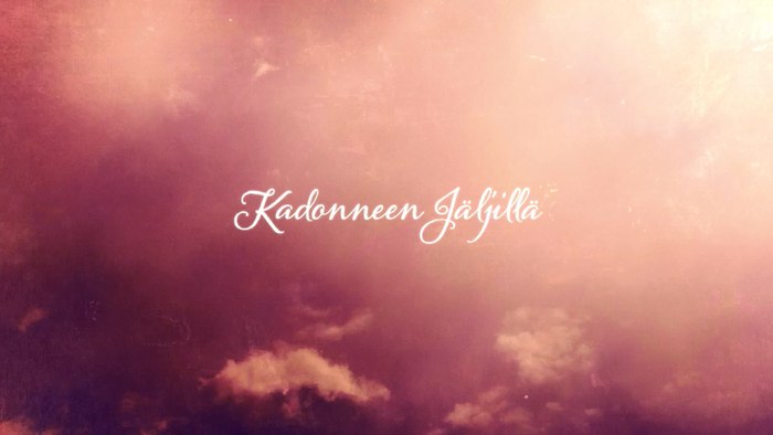 Kadonneen jäljillä poster