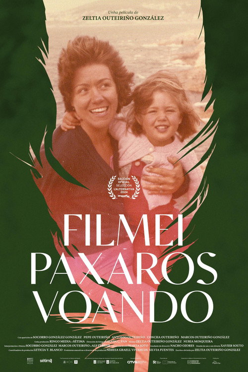 Filmei paxaros voando poster