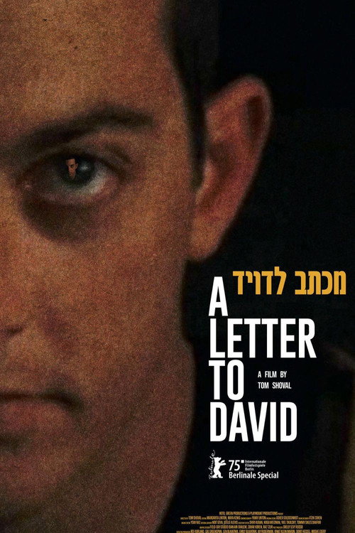 A Letter To David poster