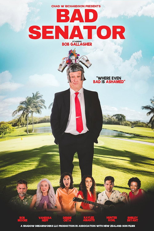 Bad Senator poster