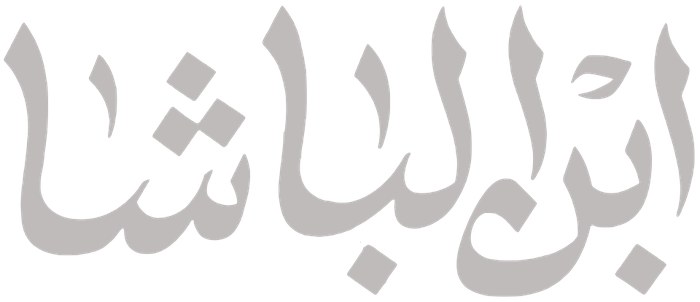 ابن الباشا poster