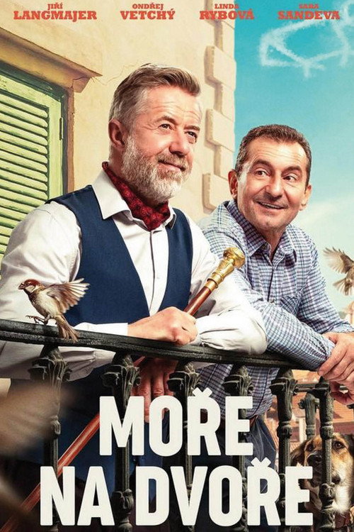Sea of Hope (film) poster