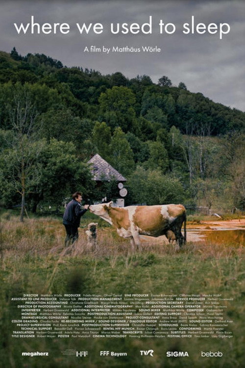 Where We Used to Sleep poster