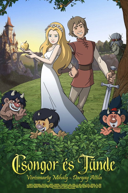 Csongor and the Fairy poster