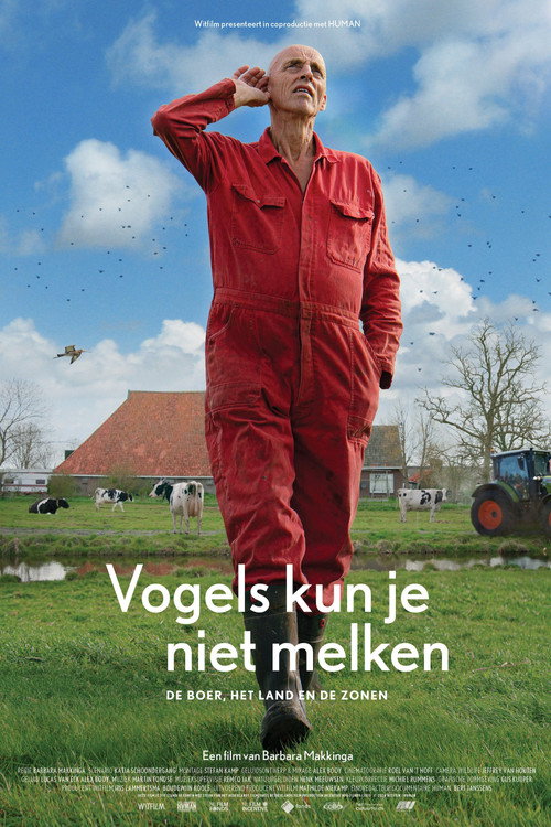Godwit Was Here poster