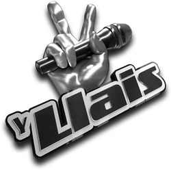 Y Llais poster