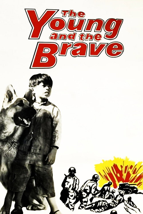 The Young and The Brave poster