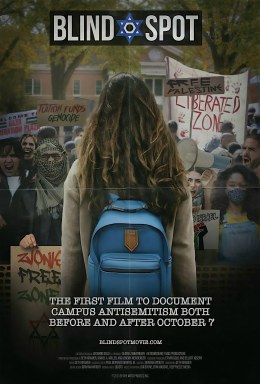 Blind Spot poster