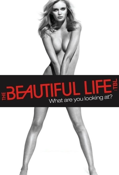 The Beautiful Life poster