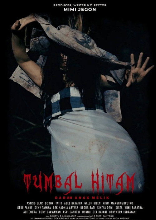 Black Sacrifice: The Blood of Melik's Child poster