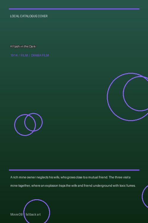 A Flash in the Dark poster