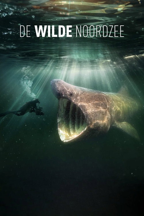 De Wilde Noordzee poster
