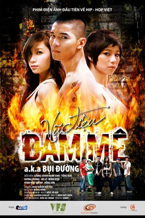 Vũ điệu đam mê poster