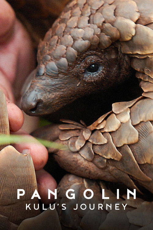 Kulu's Journey poster