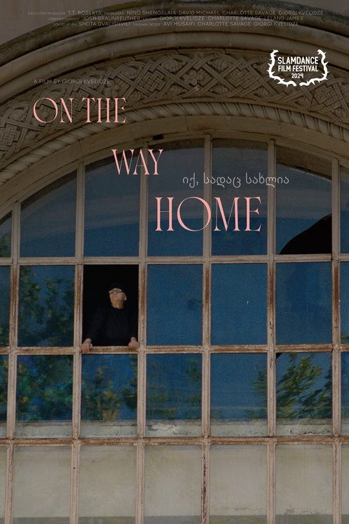 On The Way Home poster