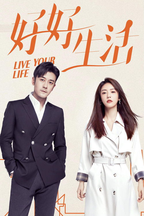 Live Your Life poster