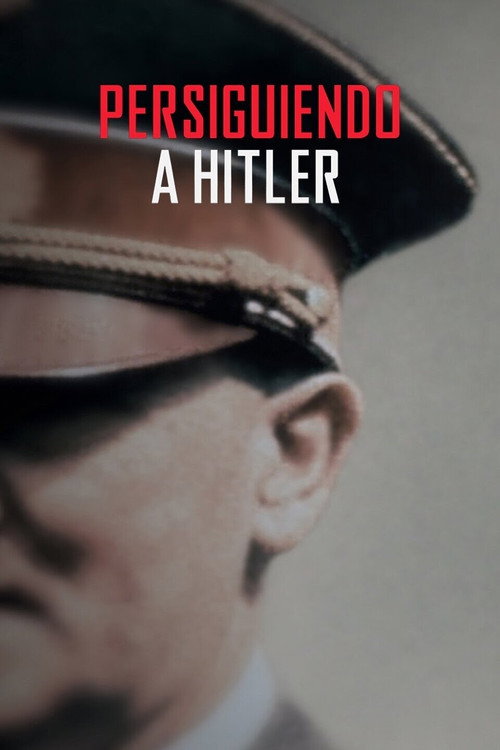 The Final Chapter poster