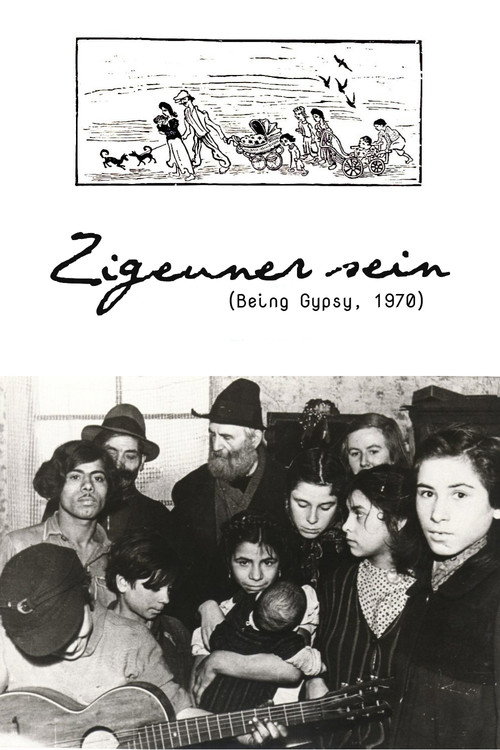 Att vara zigenare poster
