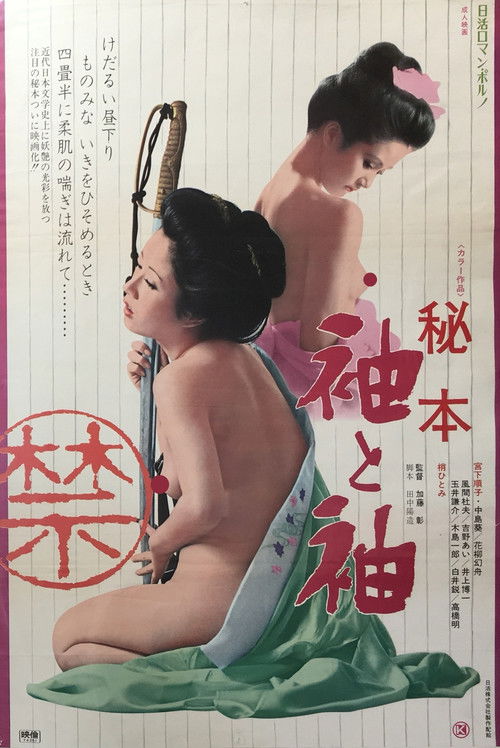 Secret Book: Sleeve and Sleeve poster