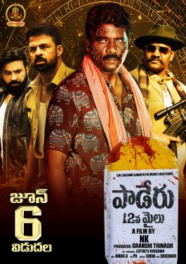 Paderu 12th Mile poster