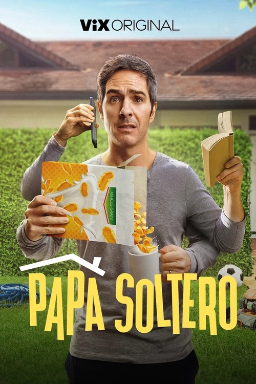 Papá soltero poster