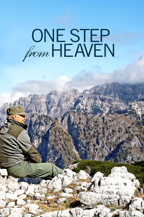 Un passo dal cielo poster
