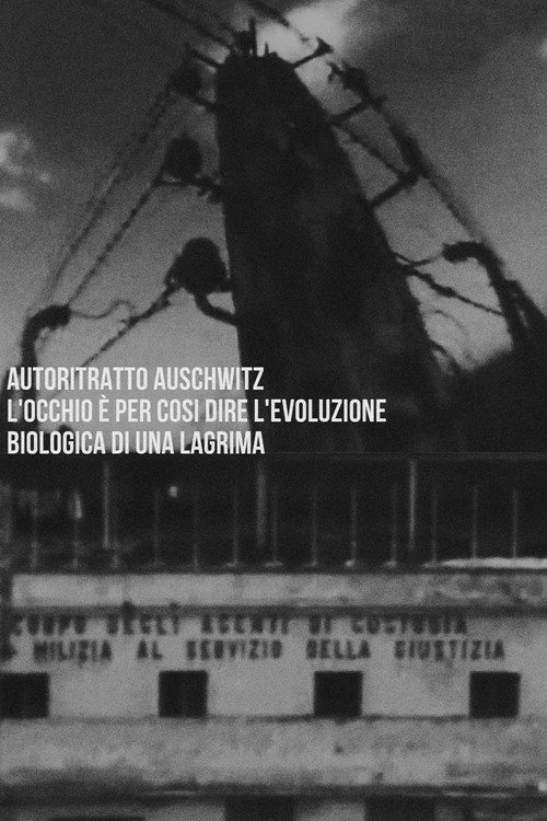 Autoritratto Auschwitz. L'occhio è per così dire l'evoluzione biologica di una lagrima poster