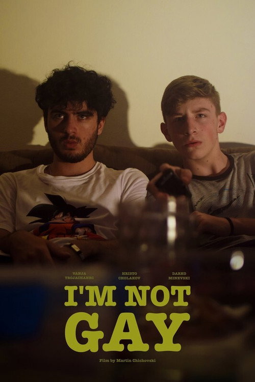 I'm Not Gay poster