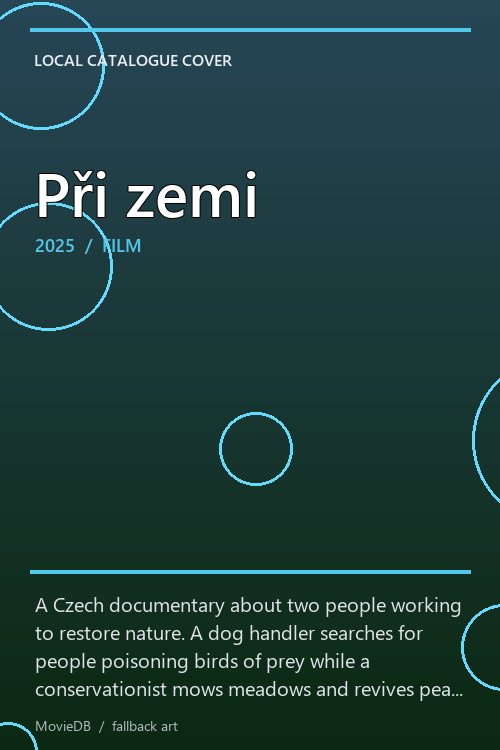 Při zemi poster