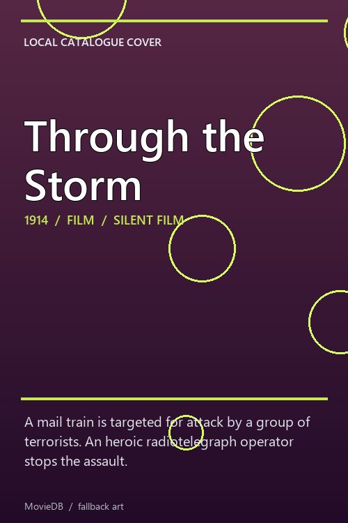 Through the Storm poster