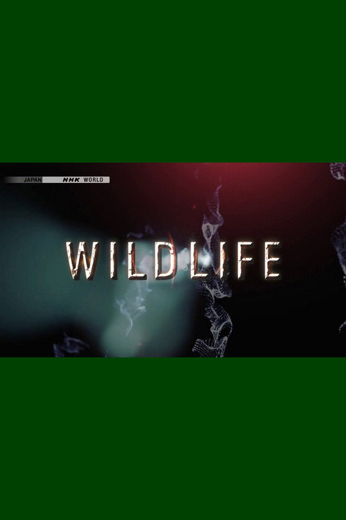 Wild Life poster