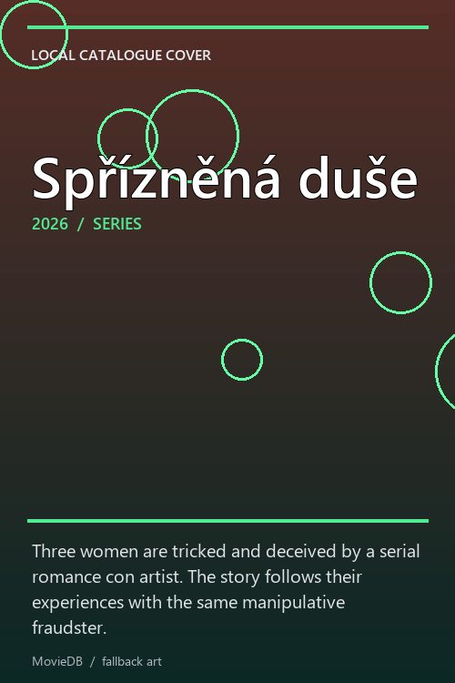 Spřízněná duše poster