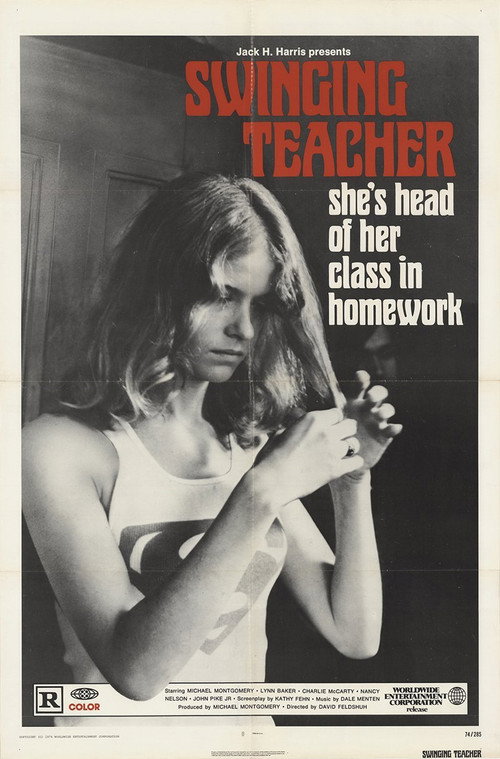 The Swinging Teacher poster