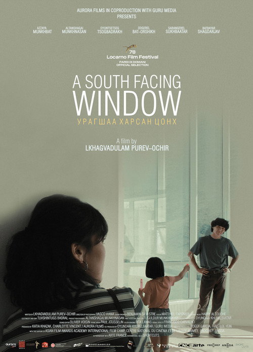 A South-Facing Window poster