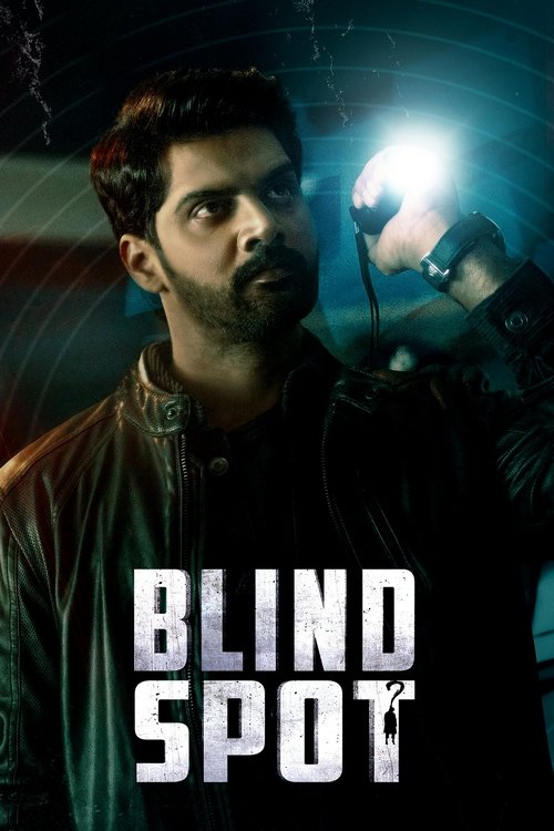 Blind Spot (2025 film) poster