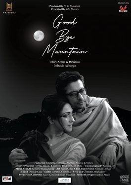 Goodbye Mountain poster