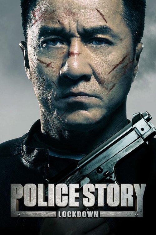 Police Story 2013 poster
