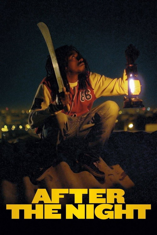 Après la nuit poster