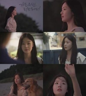 Love Letter to the Dog poster