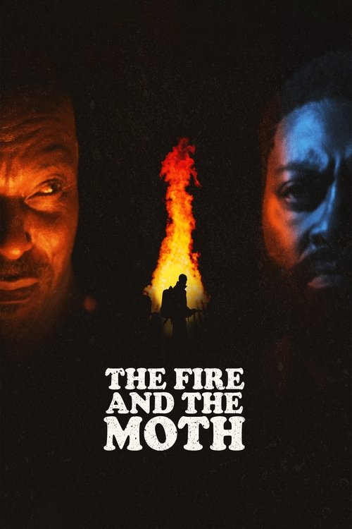 The fire and the Moth poster