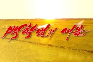 A New Spring In The Field Of Manchurian Cranes poster