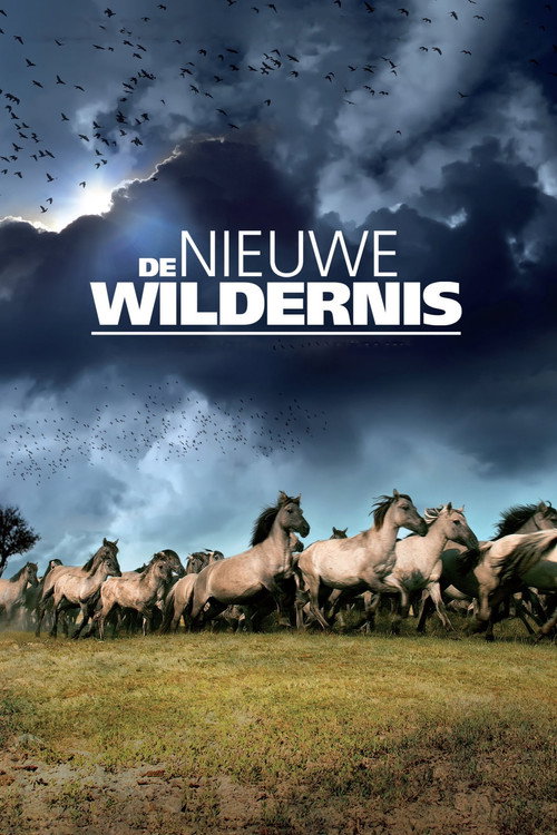 De Nieuwe Wildernis poster