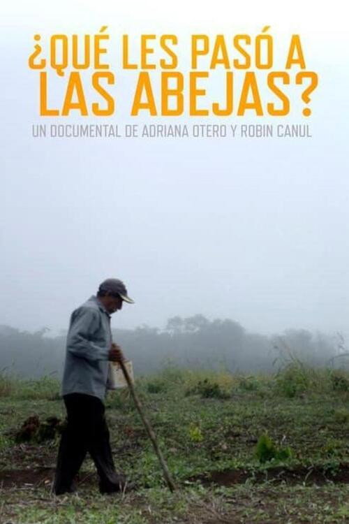 What Happened to the Bees? poster