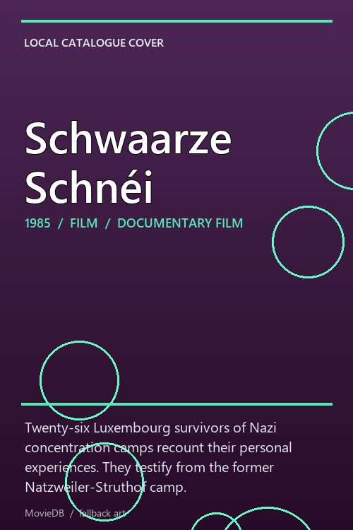Schwaarze Schnéi poster