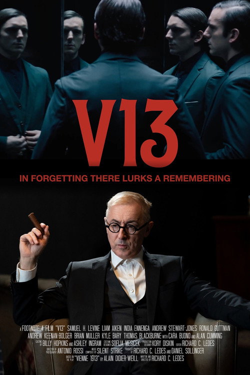 V13 poster